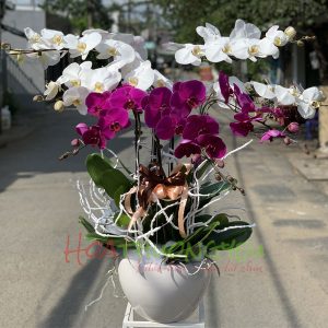 chau-lan-ho-diep-013