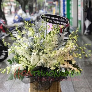 gio-hoa-vieng-lan-thai-trang