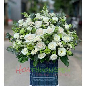 hi-vong-xanh-002
