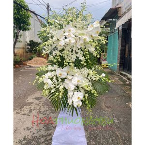 ke-chia-buon-luu-luyen-011